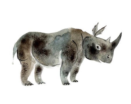 Gray rhinoceros isolated on a white background, watercolor
