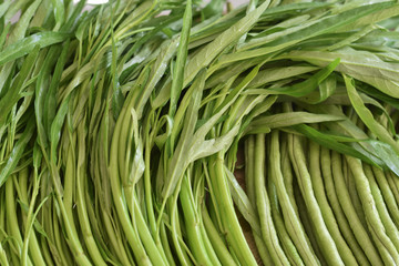 Close up moring glory, green vegetable