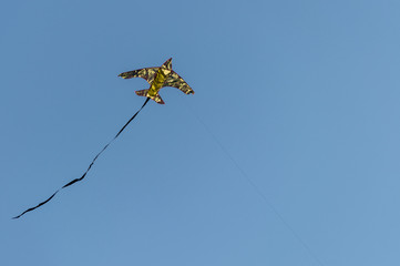 Moro kite flying in the wind with blue sky background
