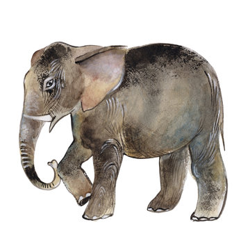 Elephant isolated on a white background, watercolor