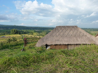 Rice fields of Jatiluwih, Bali, Indonesia