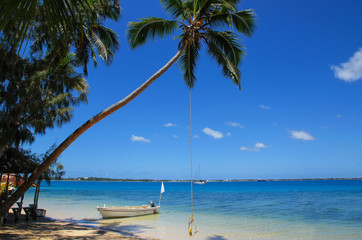 Leaning palm tree with rope swing at Pangaimotu island near Tong