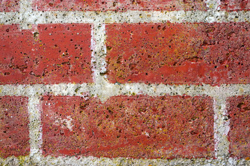 Fototapeta na wymiar red brick wall in a close up