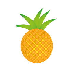 pineapple fruit icon image vector illustration design 