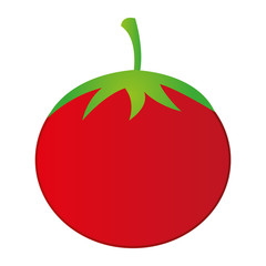 tomato fruit icon image vector illustration design 