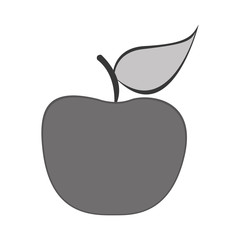apple fruit icon image vector illustration design 