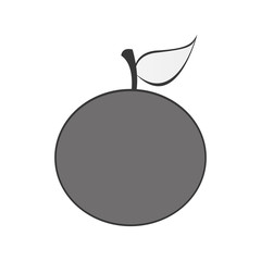 orange fruit icon image vector illustration design 