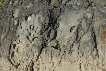 Rocky path in nature