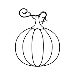 pumpkin fruit icon image vector illustration design 
