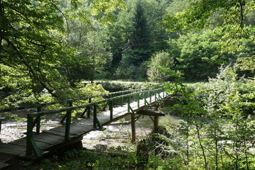 Wooden bridge over mountain river. Transcarpathia