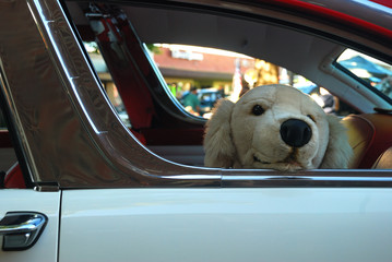 Stuffed dog looks out rear window of classic auto at car show