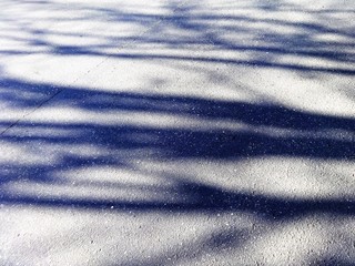 Autumn shadow on the pavement