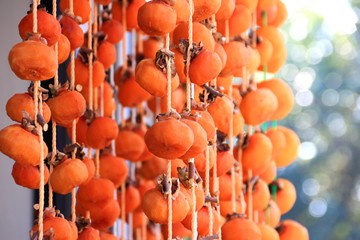 干し柿を作ろう