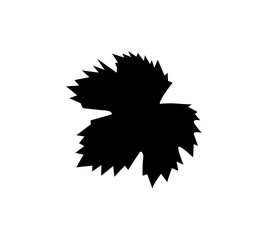 Fototapeta premium Grape Leaf Icon