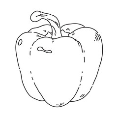 hand draw Sweet pepper, vector