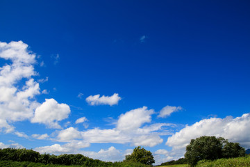 青空