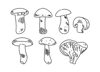 hand draw mushroom, vector