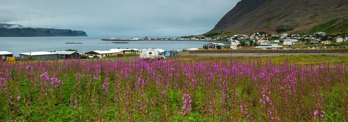 Fototapeta na wymiar Patreksfjordur, northwest of Iceland