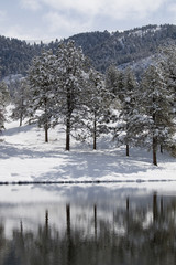 Duck Pond in the Colorado Snow