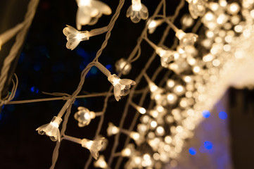 イルミネーション