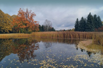 Vintage photo of beautiful autumn landscape - the autumn pond
