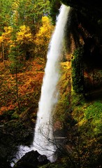 Silver Falls in Fall