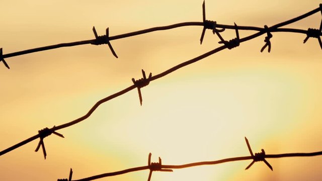 barbed wire prison sunset orange background