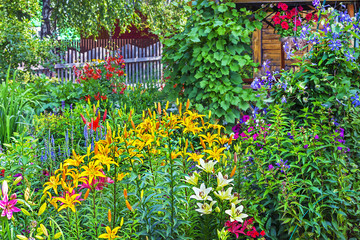 The flower garden at the cottage
