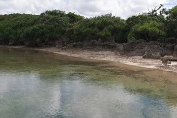 沖縄の海