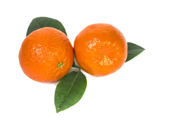 Two ripe juicy orange tangerines with leaves