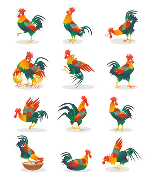 Set of Rooster cartoon flat icon isolated on white background vector illustration