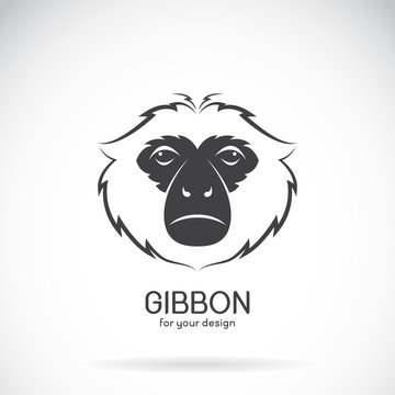 Vector image of a gibbon head design on white background, Vector