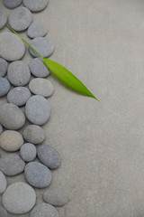 Fototapeta na wymiar Bamboo leaves on pile of gray stones-gray background