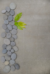 Naklejka na ściany i meble Bamboo leaves on pile of gray stones-gray background