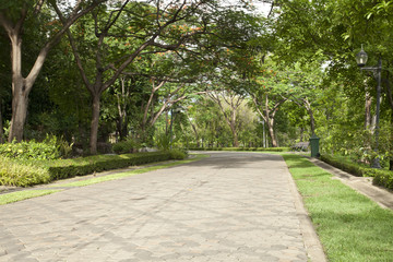 landscaped park