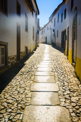 Fototapeta na wymiar Typical narrow street with traditional white houses in medieval village Marvao. Alentejo. Portugal