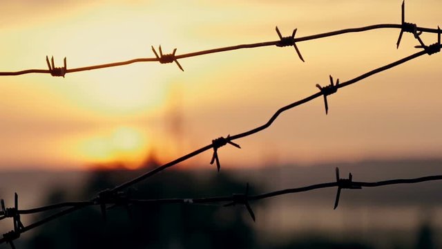 barbed wire prison sunset orange background
