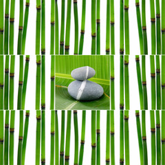 Still life with young bamboo sticks with leaf and stones,
