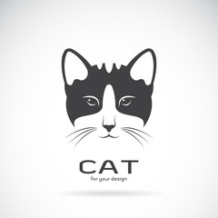 Vector image of an cat face design on white background