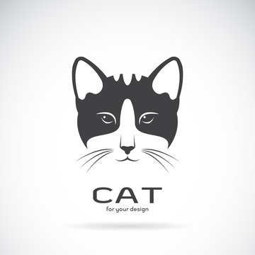Vector image of an cat face design on white background