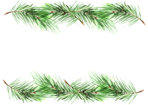 Watercolor spruce, pine, fir branches. Use for decoration, postcards, frame, advertisements, ads, and more. Green color