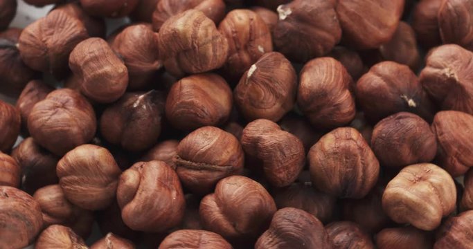 organic hazelnuts loopable rotation video