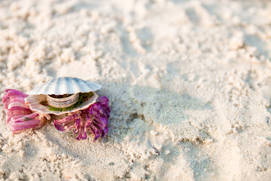 Engagement ring in open seashell on the ocean beach. Copy space. Frame.