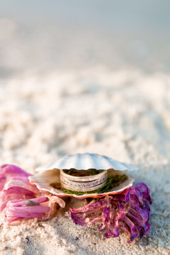 Engagement ring in open seashell on the ocean beach. Copy space. Frame.