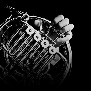 French horn musical instruments