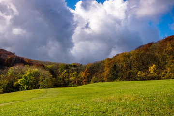 Fototapeta premium Landschaft im Herbst