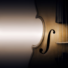 Violin closeup © Alenavlad