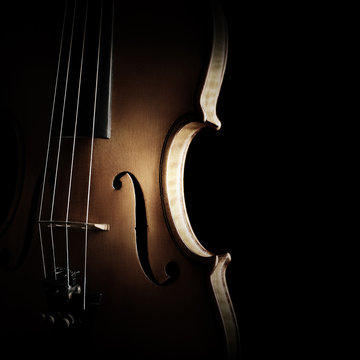 Violin closeup
