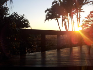 Tropical Sunrise