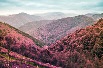 Naklejka premium fog in the mountains - Infrared filter